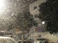 -梨花参鸡汤