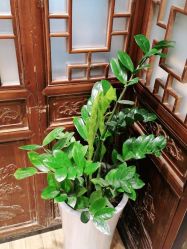 点击看大图 -爱秀造型