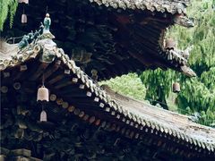 -报恩寺(平武县)