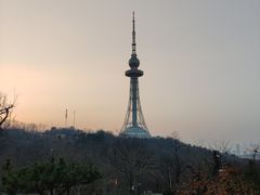 -青岛电视塔