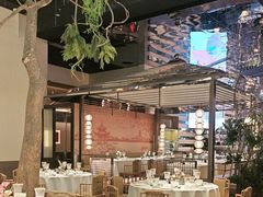 -桂满陇·海市蜃楼·黑金(国金店)