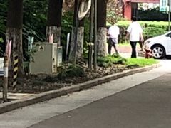 -旭龙鱼头王(航华店)