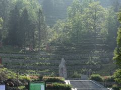 -天柱山风景区