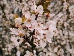 -洛阳市隋唐城遗址植物园