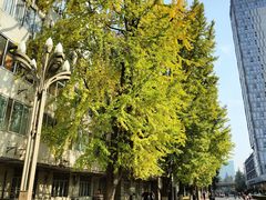 -四川大学(华西校区)