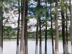 -乌村