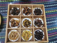 -昆虫窝子·特色云南菜(拓东路总店)
