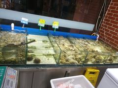 水产区-胖姐活羊烧烤家乡菜(刘家桥店)