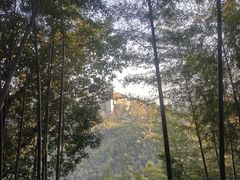 -莫干山风景区