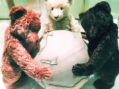 -济州岛泰迪熊博物馆