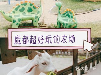 魔都夏天来这玩种动员农场游玩项目超多