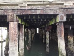 -固兰湖岛