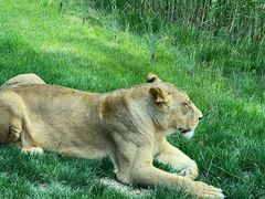 -北京野生动物园
