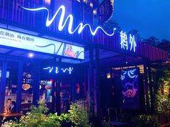 -MR鹅外