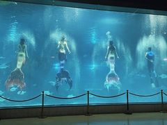 -福州罗源湾海洋世界旅游区