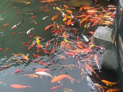 -龙宫洞风景区