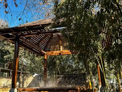 -春晖园度假酒店温泉