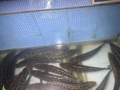 -湘芙蓉·湖南菜(椒江店)