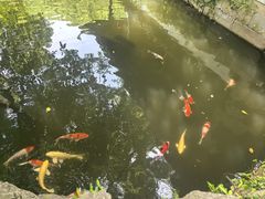 -绮园景区
