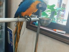 -观桥阁(锦溪店)