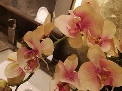 -天宇菲尔德·花园西餐厅·海鲜自助餐