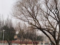 -望湖公园