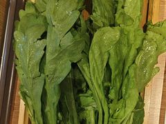 -蝎王府羊蝎子(西直门店)