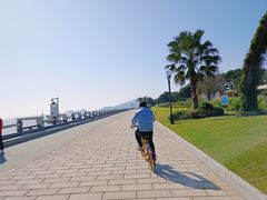 -横琴客运码头