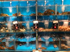 水产区-苏大嘴海鲜牧场(奥林匹克店)
