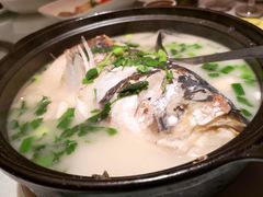 -席家花园(巨鹿花园店)