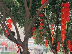 -荔湾湖公园