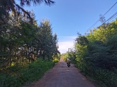 -硇洲岛旅游区