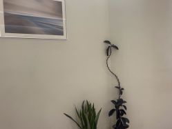 -VIM Hair Salon