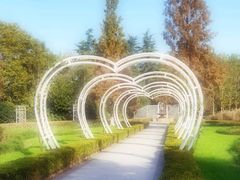 -昆山城市生态森林公园