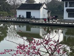 -红梅公园