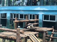 -大连森林动物园