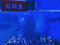 -小龍鳳·港式海鲜打边炉(沙湖路店)