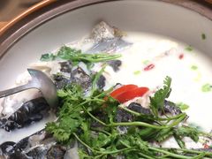 -全乐鱼馆·淳牌有机鱼直营店