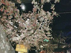-绿茶餐厅(朝阳大悦城店)