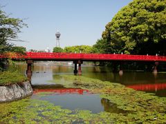 -天王寺公园