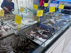 -春华海鲜城(广场西苑店)