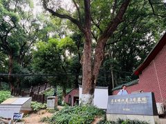 -马王堆汉墓遗址