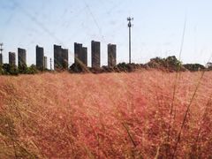 -映月湖中央公园