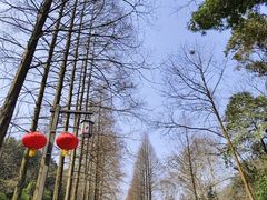 -青城山