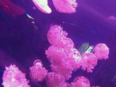 -多彩贵州城极地海洋世界