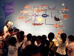 -烟台海昌鲸鲨海洋公园