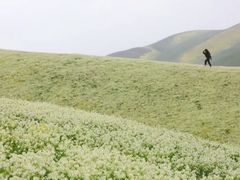 -新疆那拉提国家旅游度假区