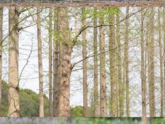 -上海辰山植物园