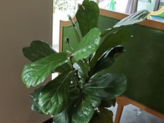 -YAFEE雅菲·粤菜·湘菜·融合菜(魏公村店)