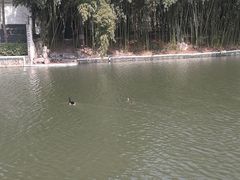 -包公祠